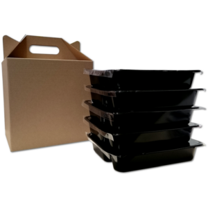 Pudełko z uchwytem DIETA BOX na pojemniki obiadowe, 190x230x230/305mm, opakowanie 50szt