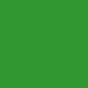 Serwetki 33x33 MAKI UNICOLOUR zielony, 0004 00, op.20szt.